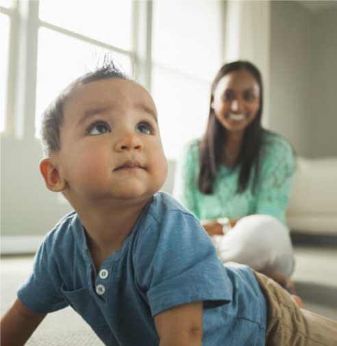 rent or buy air purification
