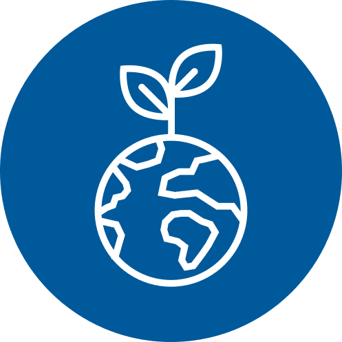 Earth Icon